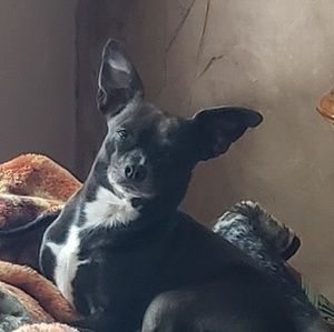 Meet your Posher, Rebecca